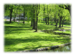 北海道大学敷地内の公園の写真